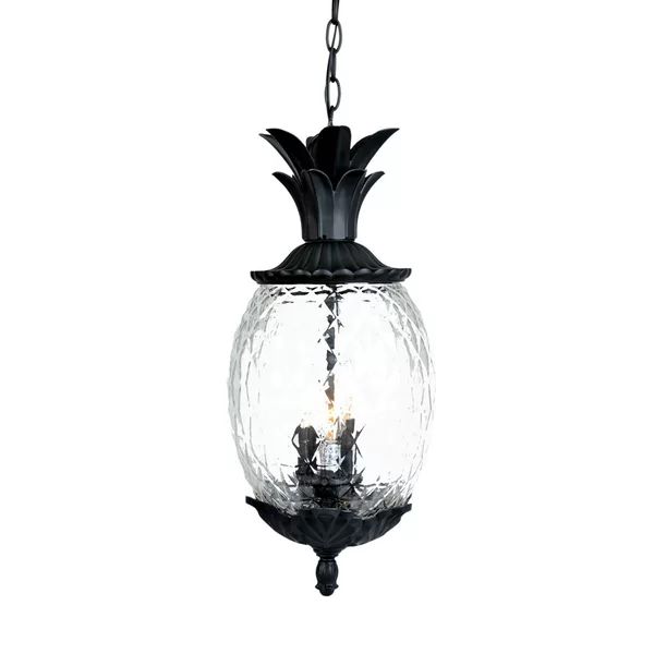 Arlesey 3 -Bulb 21'' H Outdoor Pendant | Wayfair North America