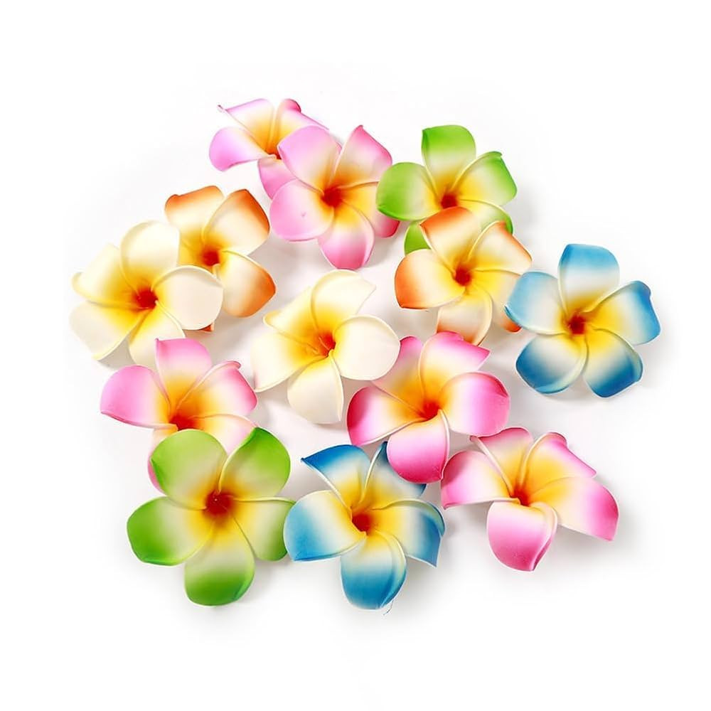 10Pcs Multicolor Hawaii Plumeria Flower Clips Hawaiian Flowers Hair Barrettes Beach Party Hair Cl... | Amazon (US)