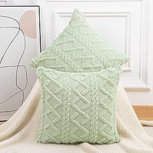 MADIZZ Set of 2 Soft Plush Fuzzy Short Wool Fleece Throw Pillow Covers 20x20 inch Light Green Squ... | Amazon (US)