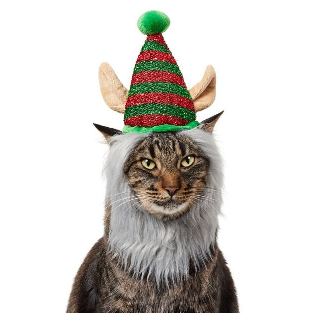 Frisco Elf Dog & Cat Headpiece | Chewy.com