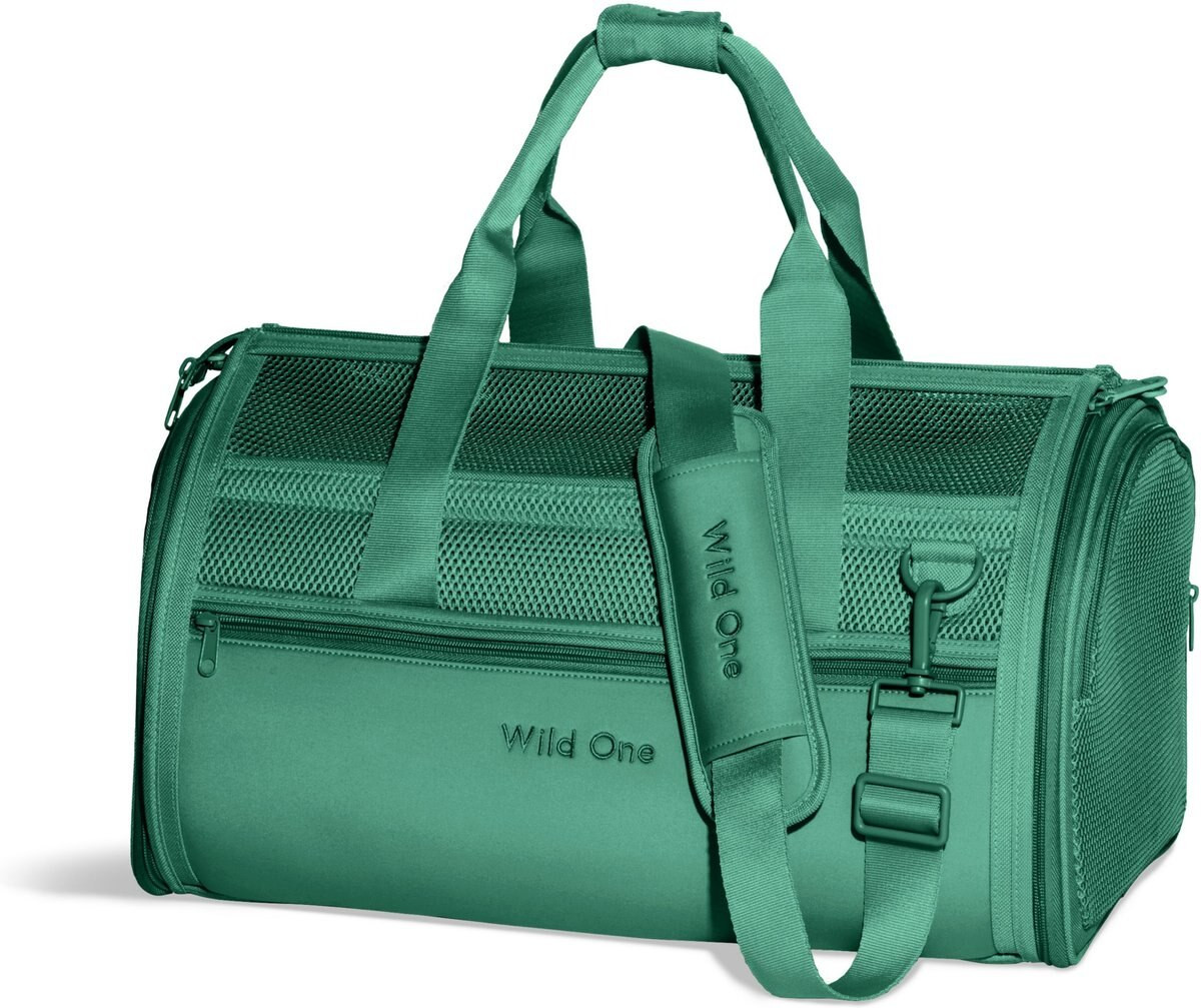 Wild One Airline Approved Breathable Mesh Travel Bag Dog Carrier, 17.5-in, Spruce | Chewy.com