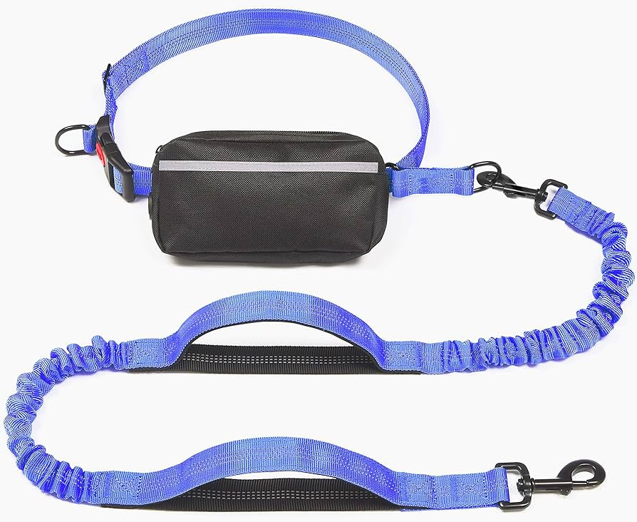 iYoShop Hands Free Dog Leash with Zipper Pouch, Dual Padded Handles and Durable Bungee for Walkin... | Amazon (US)