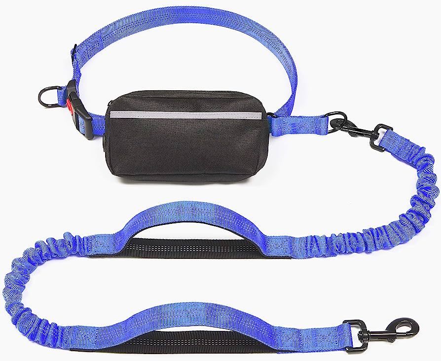iYoShop Hands Free Dog Leash with Zipper Pouch, Dual Padded Handles and Durable Bungee for Walkin... | Amazon (US)