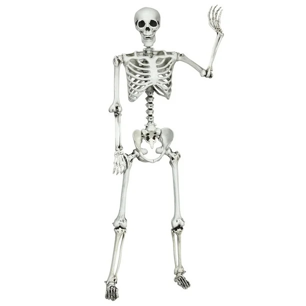 Costway 5.4ft Halloween Skeleton Life Size Realistic Full Body Hanging w/ Movable Joints - Walmar... | Walmart (US)