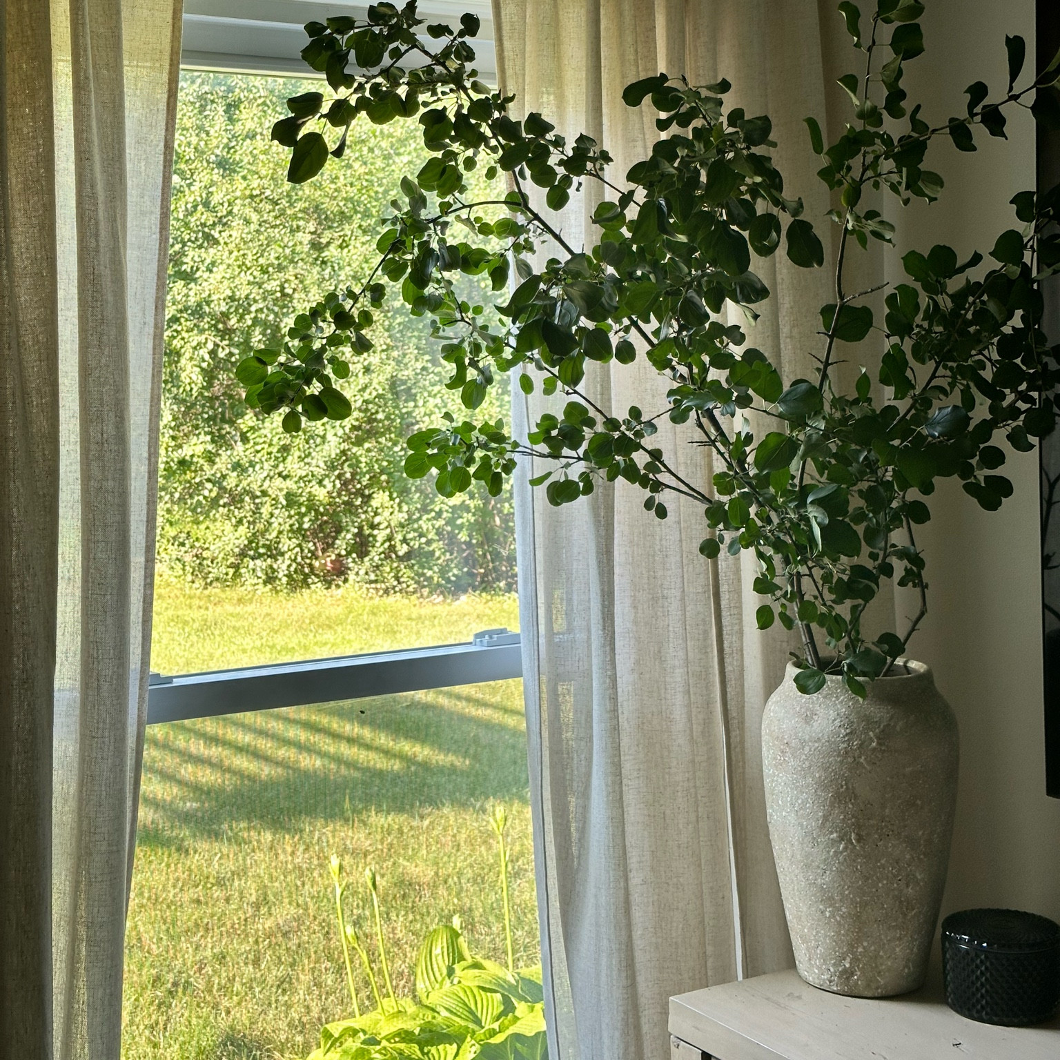 Branches from our yard were just what this little corner was needing!!! 

#LTKHome #LTKStyleTip #LTKSeasonal