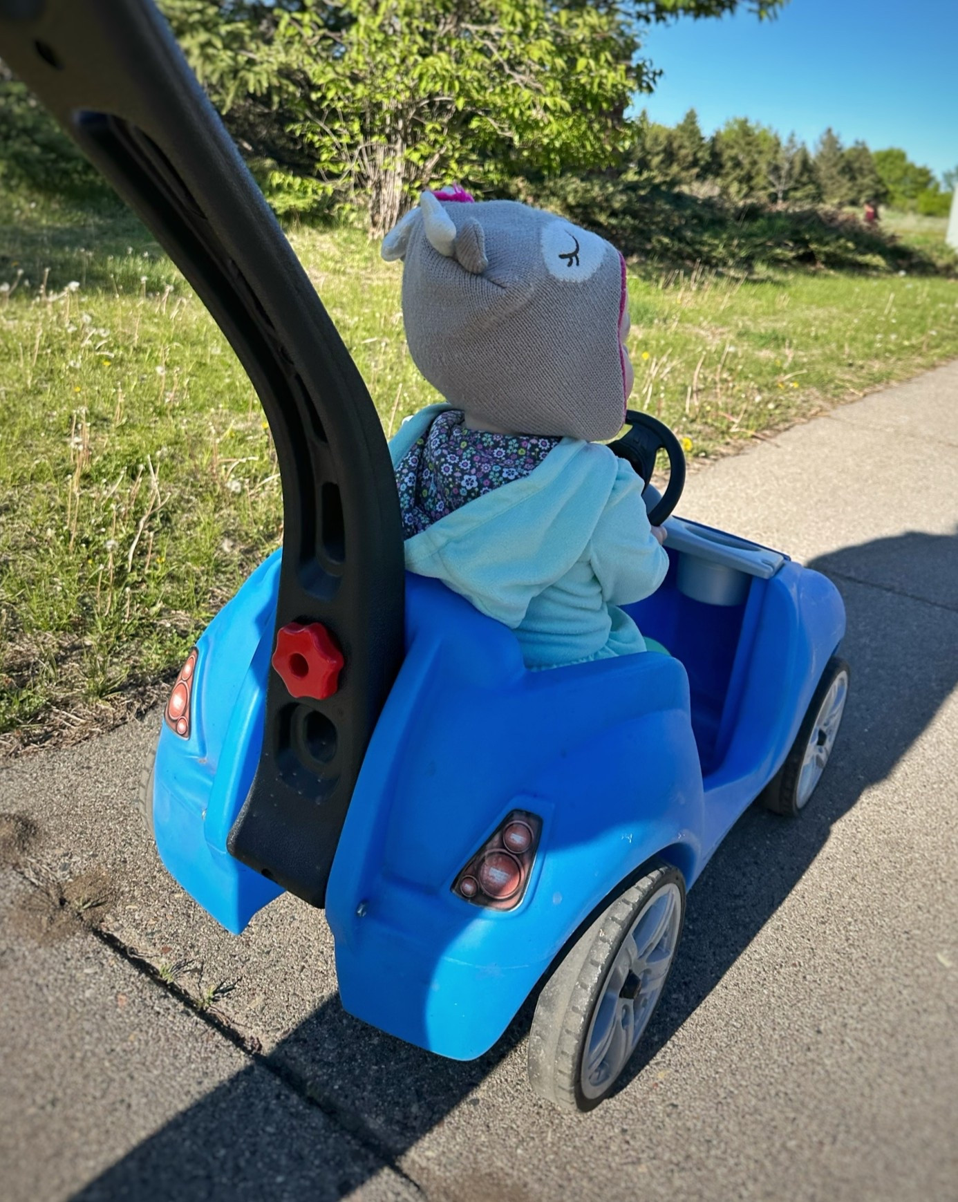 The perfect push car for the baby turning into a toddler!🚙

#LTKBaby #LTKKids #LTKmomlife