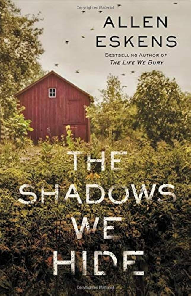 The Shadows We Hide: The highly acclaimed sequel to The Life We Bury | Amazon (US)