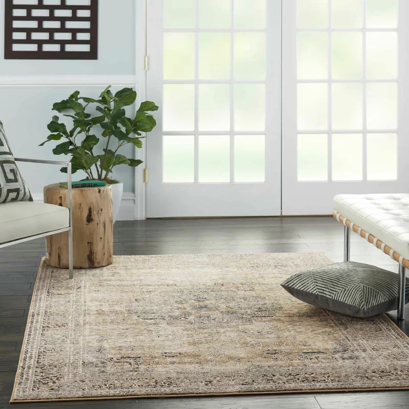 Dream Oriental Beige/Gray Area Rug | Wayfair North America