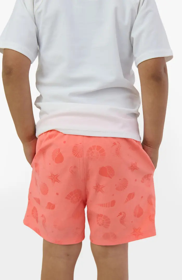 Kids' UPF 50+ Swim Trunks | Nordstrom