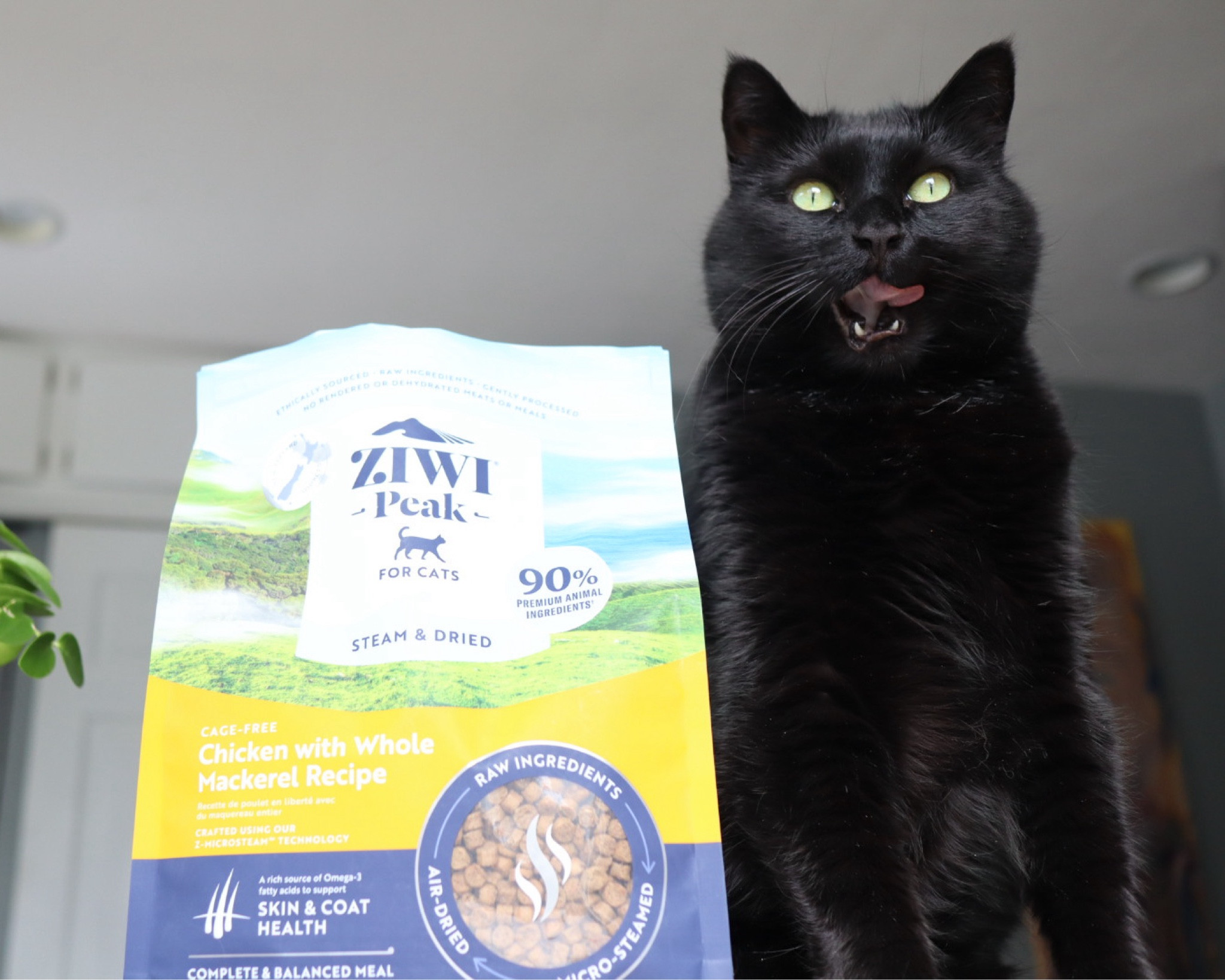We were gifted this ZIWI Peak Cat food. It’s their new line and it’s stream dried, fragrant, and the cats love it! 

#cats #pets 

#LTKfindsunder100 #LTKhome