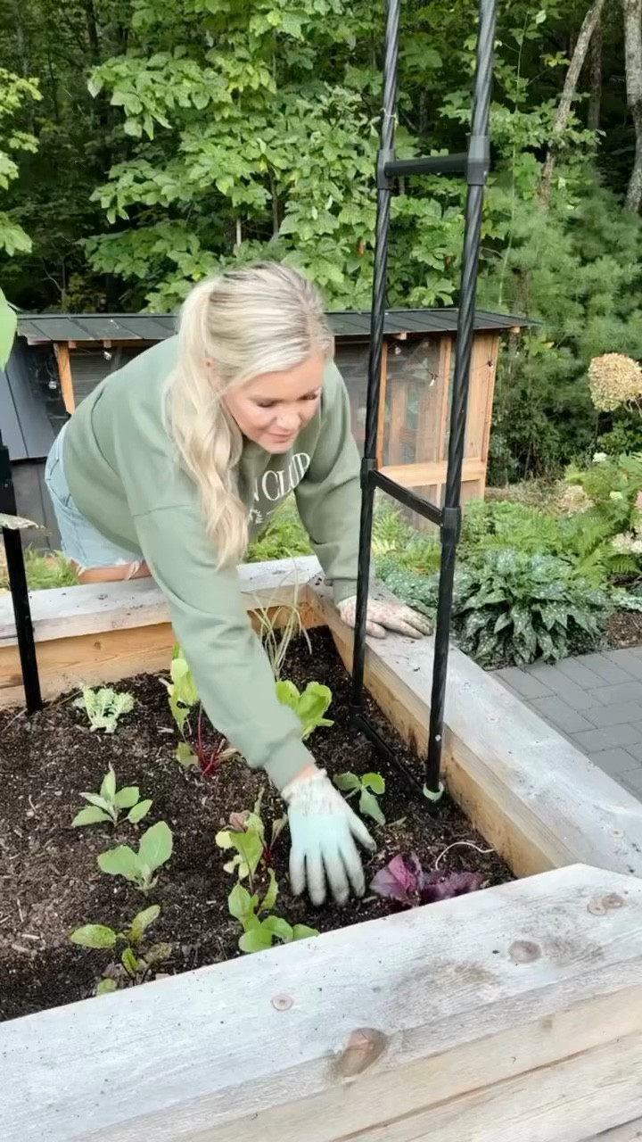 Let planting season begin! Here are some seed mixes we use to help our plants thrive:

🐝🦋Pollinator Seed Mix
📌Plant in the early spring or late fall.
📌Choose a sunny spot with well-drained soil.
📌Scatter the seeds generously, water and weed.
📌Create a wildflower haven for our hard-working friends.

🌿☁️Shady Area Seed Mix
📌Plant in the spring, early summer or late fall.
📌Find those shadowy corners that need a makeover.
📌Loosen the soil, sow the seeds and water gently.
📌Watch the space transform into a lush oasis.

🦌🚫Deer Deterrent Mix
📌Plant in the late summer or early fall.
📌Strategize where you want to keep nibblers at bay.
📌Stagger seeds around your plants to increase their odds.
📌Let the natural taste and aroma do its work.

All are available on the Shoppe! Tap the product link or visit cooperathome.com to shop!

#LTKfindsunder100 #LTKSeasonal #LTKhome