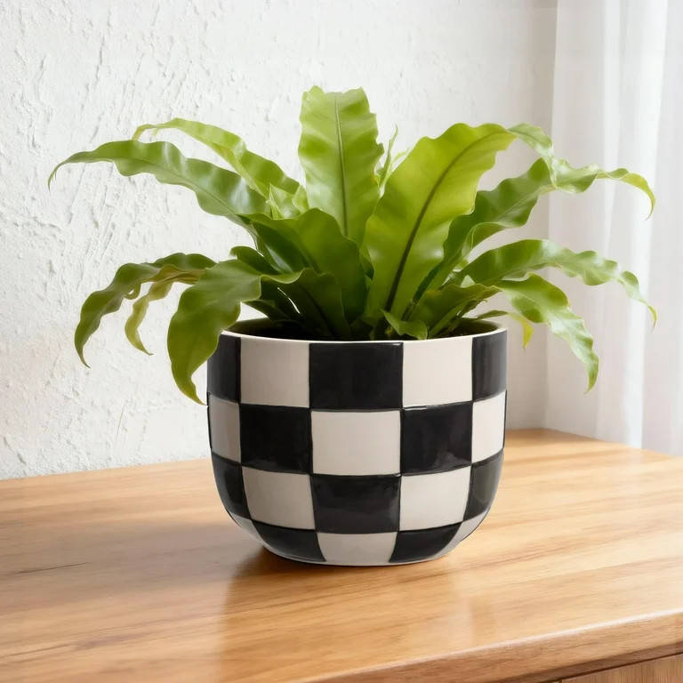 $11.88$1188 | Walmart (US)