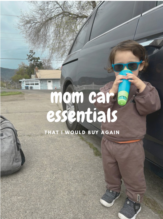 Things in my mini van that make car rides easy.  

 #LTKmomlife #LTKBaby #LTKKids