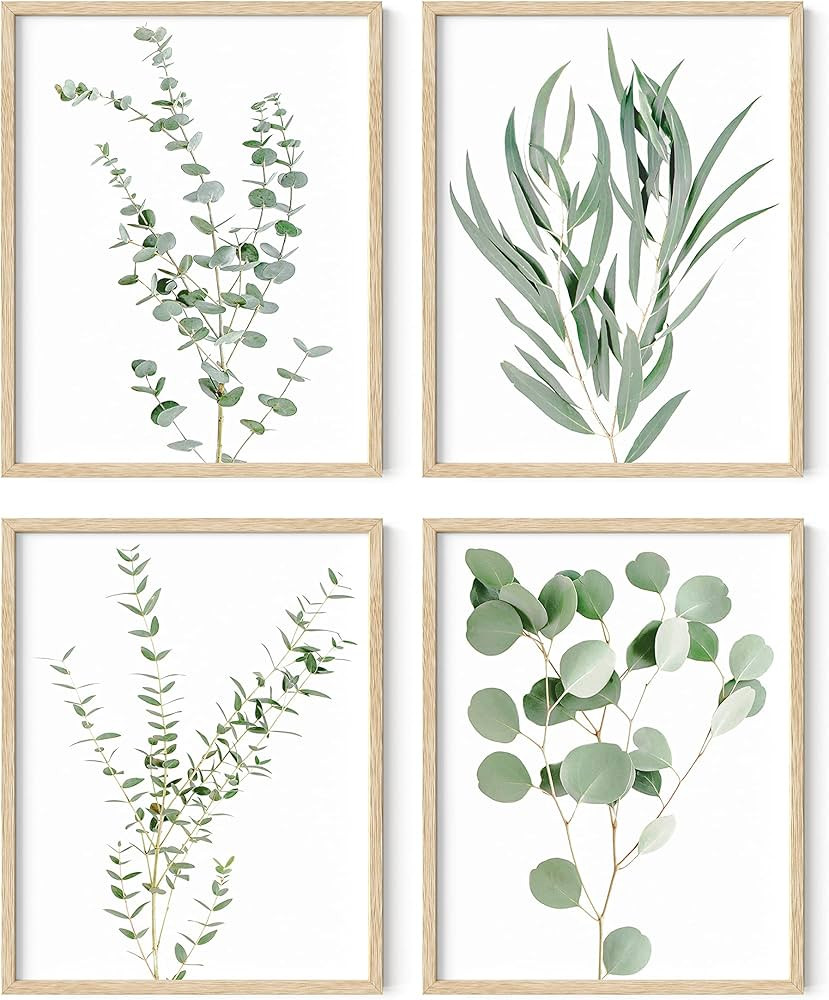 HAUS AND HUES Botanical Plant Wall Art Prints - Set of 4 Plant Wall Decor Prints Floral Kitchen F... | Amazon (US)