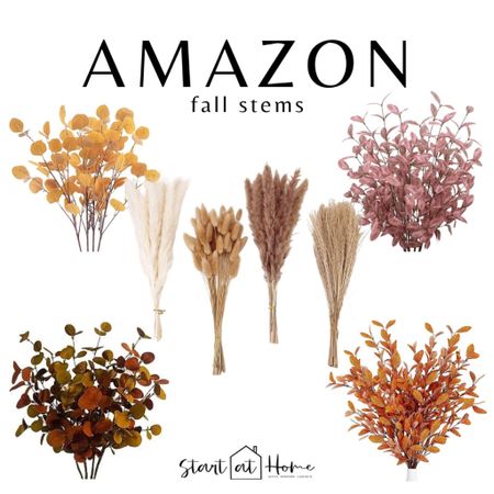 Loving these Amazon fall stem finds, Amazon home, Amazon fall finds, Brooke start at home 

#LTKhome #LTKSeasonal #LTKFind