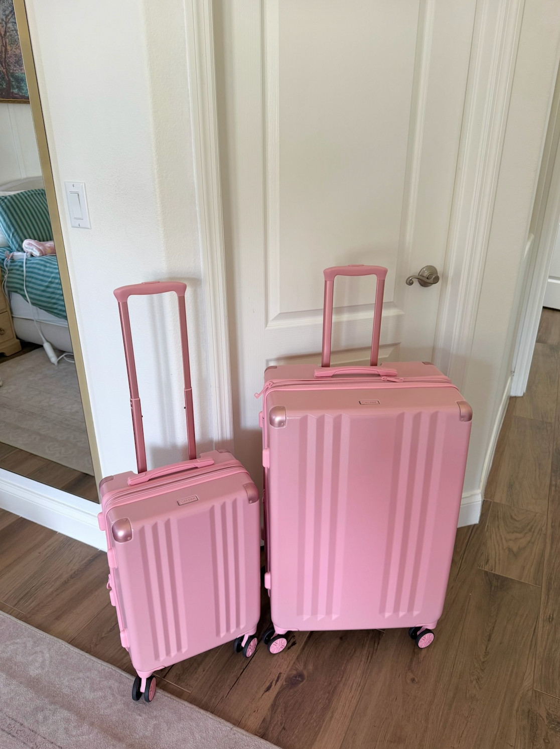 new luggage arrived just in time 🩰
@calpak
 

 #LTKdayinmylife #LTKSeasonal #LTKTravel