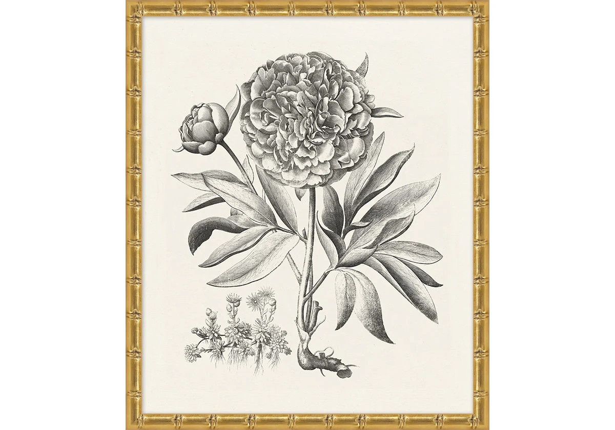 BESSLER STUDY IN NEUTRAL | Alice Lane Home Collection