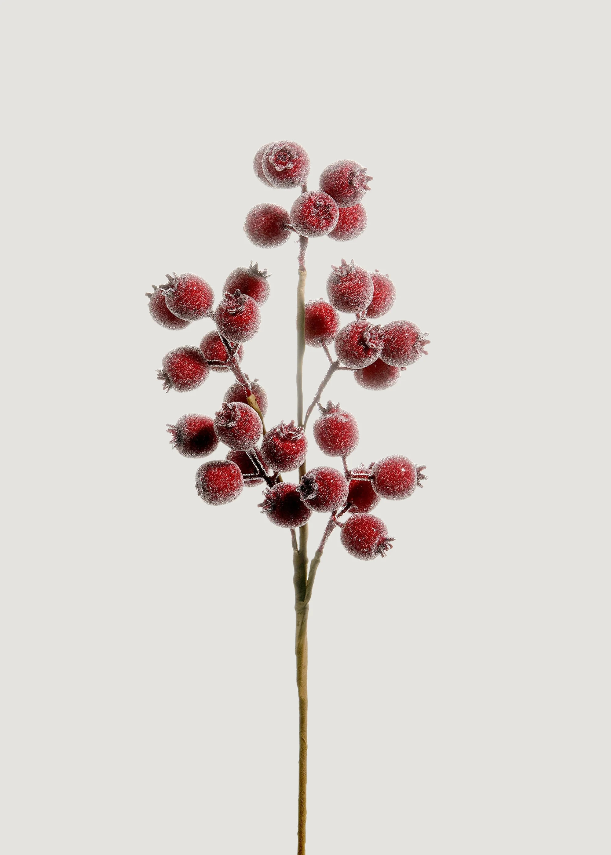 Berry Pod Branch in Burgundy | Artificial Holiday Berries | Afloral | Afloral