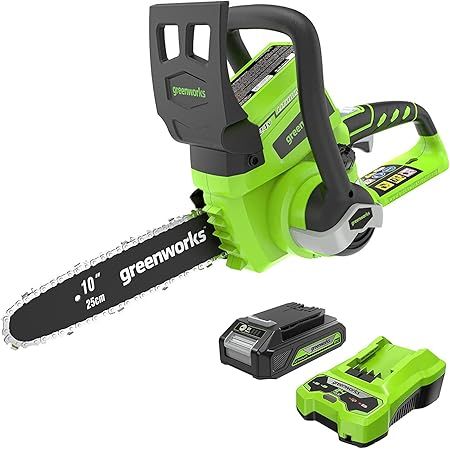 Greenworks 40V 12" Cordless Compact Chainsaw (Great For Storm Clean-Up, Pruning, and Camping), To... | Amazon (US)