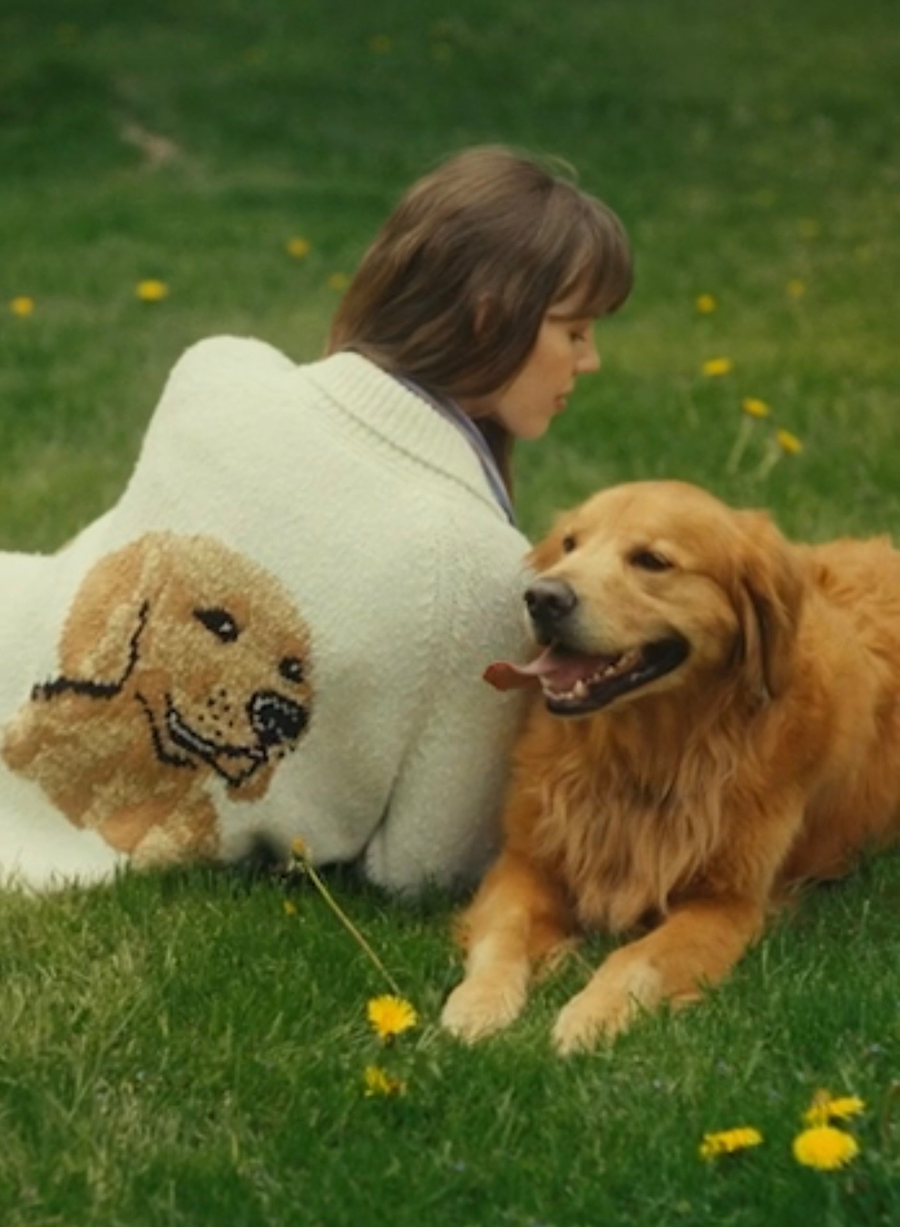For the dog lovers. 

#LTKGiftGuide #LTKHome #LTKStyleTip
