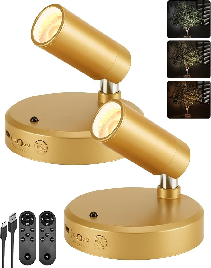 EZVALO LED Spotlight Indoor, 5500mAh Rechargeable Battery Uplighting Indoor, Wireless Mini Art Ac... | Amazon (CA)