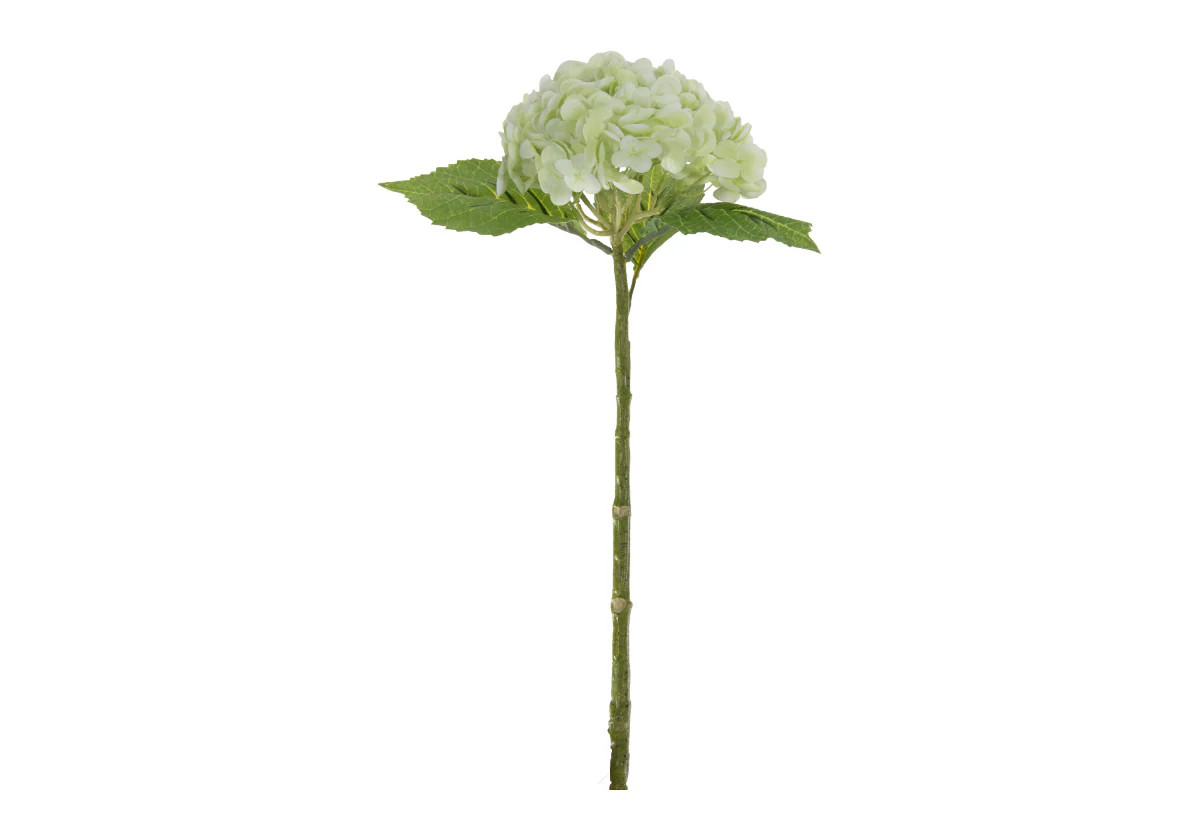 HYDRANGEA STEM | Limelight | Alice Lane Home Collection