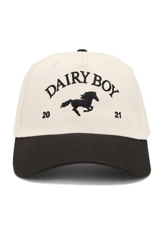 East Coast Trucker Hat in Black | Revolve Clothing (Global)