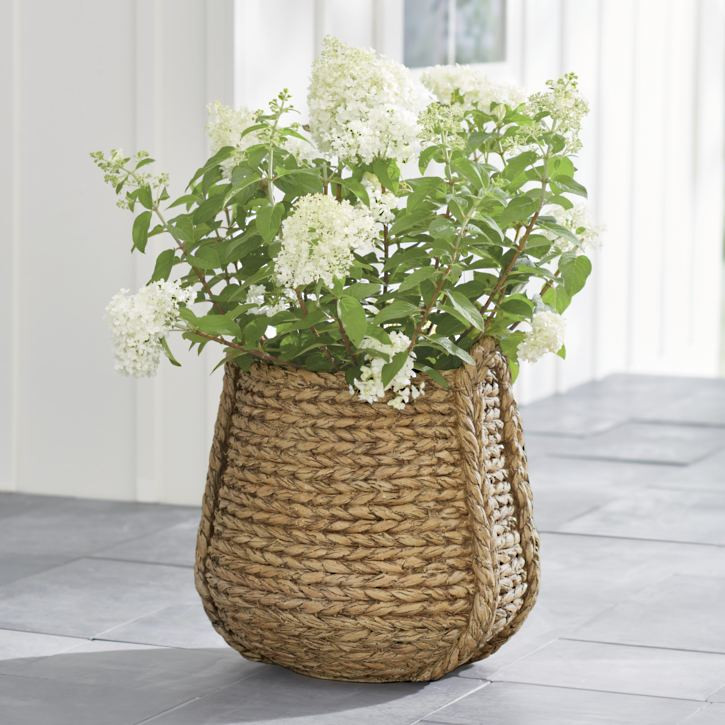 Carved Woven Planter | Grandin Road