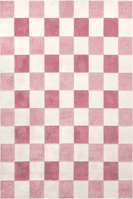 Pink Alexie Two-Tone Checkered 4' x 6' Area Rug | Rugs USA