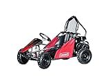 Coleman Powersports 98cc/3.0HP CK100-S Go Kart Gas Powered Go Cart for Adults and Kids (13+) | Amazon (US)