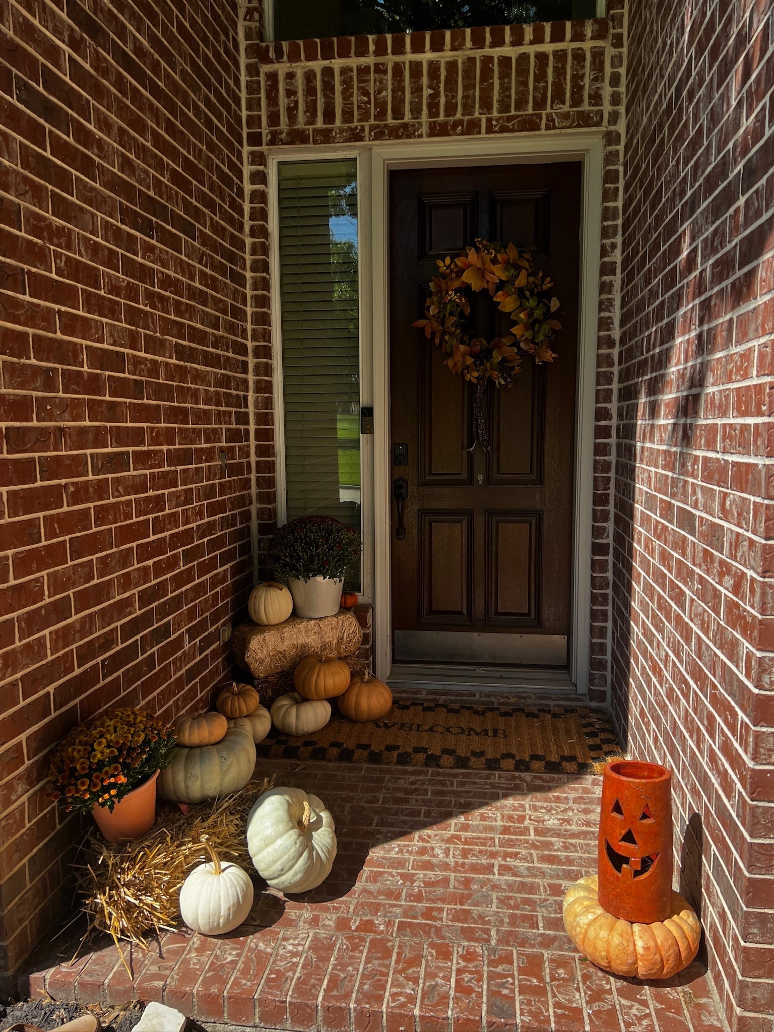 Fall touches for the front porch 🍂🤍 

Loving this Target wreath and MacKenzie-Childs door mat combo!!

fall porch decor, fall wreath, fall front porch, target home finds, mackenzie childs, fall doormat, cozy fall home, fall entryway decor, autumn porch inspo, target fall decor

#LTKHome #LTKSeasonal