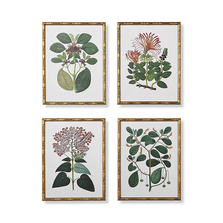 Bamboo Botanicals Giclée Prints | Frontgate | Frontgate