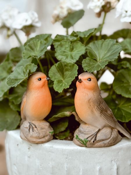 These little solar bird statues are a great addition to your landscaping or garden. They would also make a great Mother’s Day gift and Amazon offers quick two-day shipping on them. 

#LTKFindsUnder50 #LTKGiftGuide #LTKSeasonal