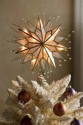 Pre-Lit Placuna Shell Star Tree Topper | Terrain