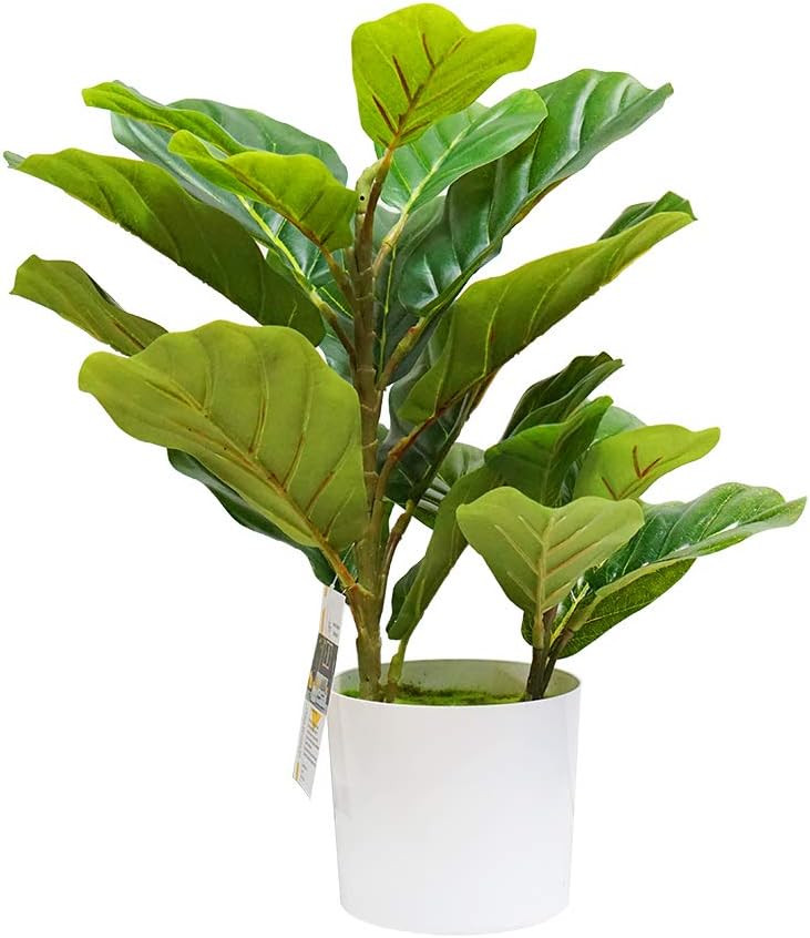 Fiddle Leaf Fig Tree Artificial, 17.5 inch Ficus Lyrata, Faux Fig Plant for Indoor Décor, Small ... | Amazon (US)