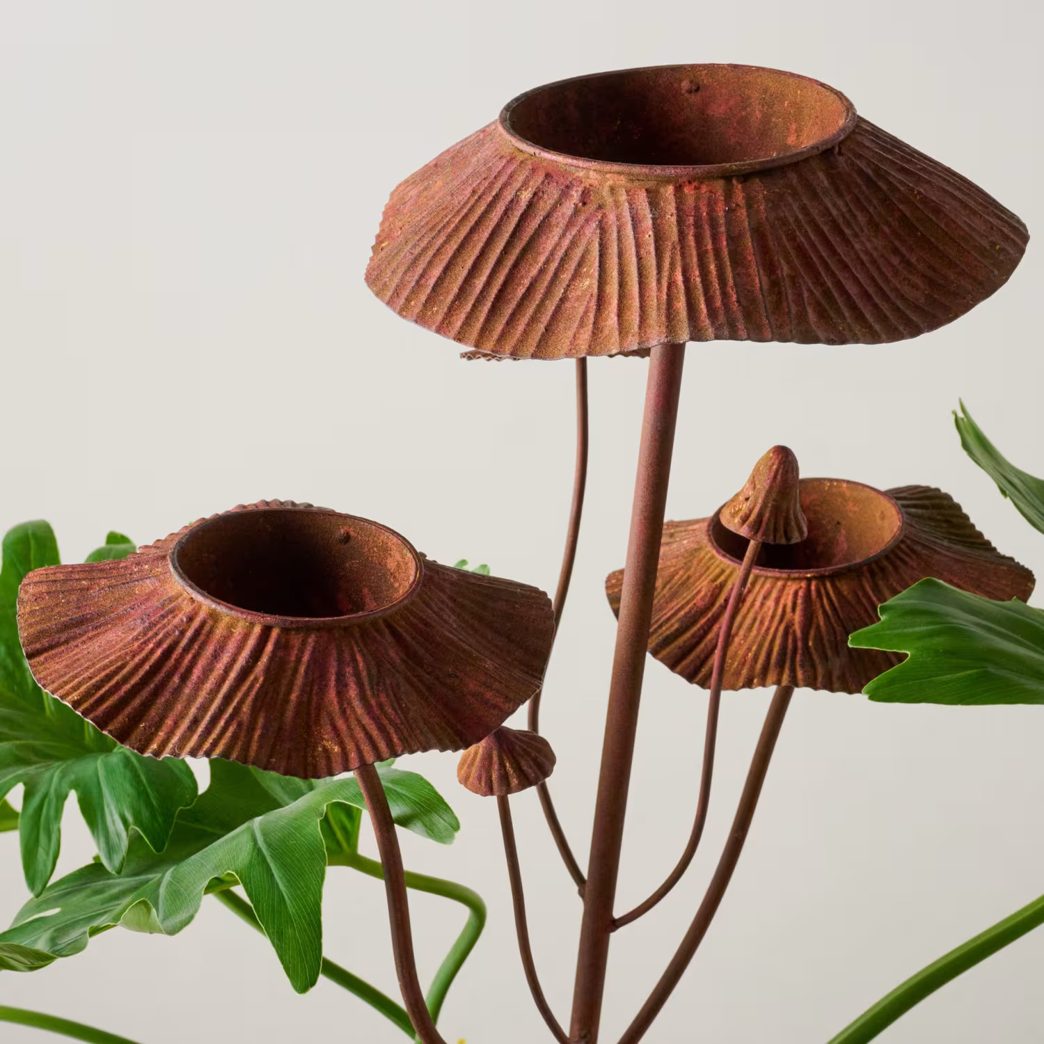 Mushroom Aged Iron Rain Catcher | Magnolia
