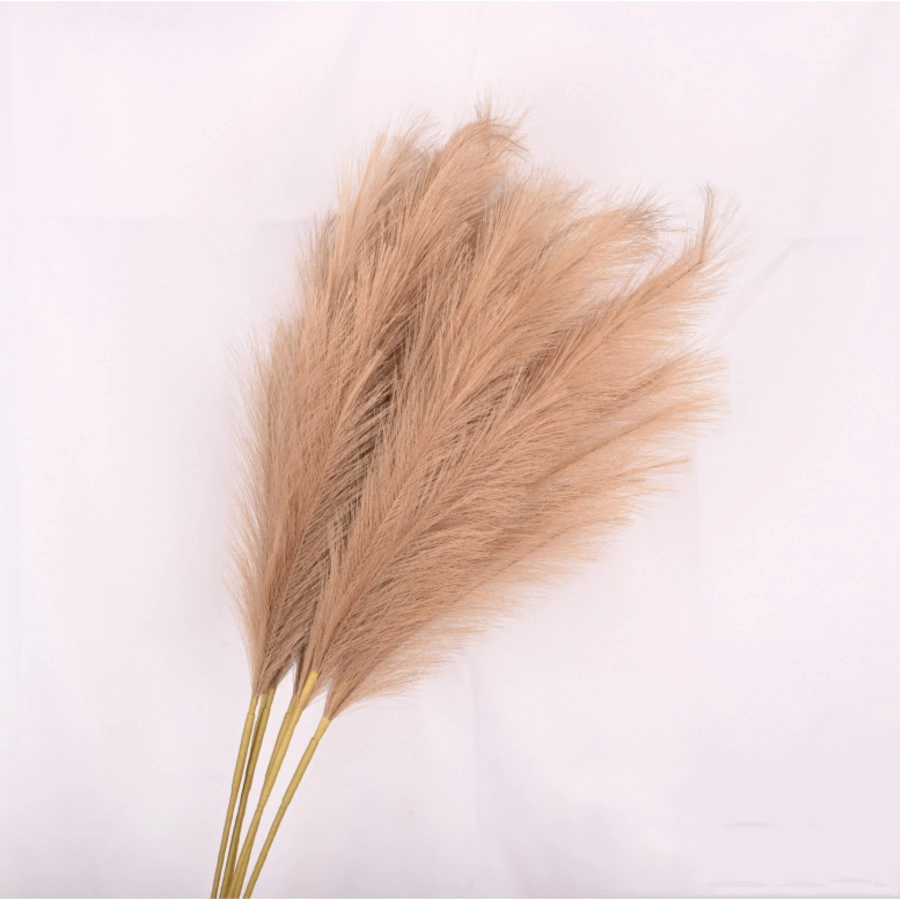 Primrue Pampas Grass Spray & Reviews | Wayfair | Wayfair North America