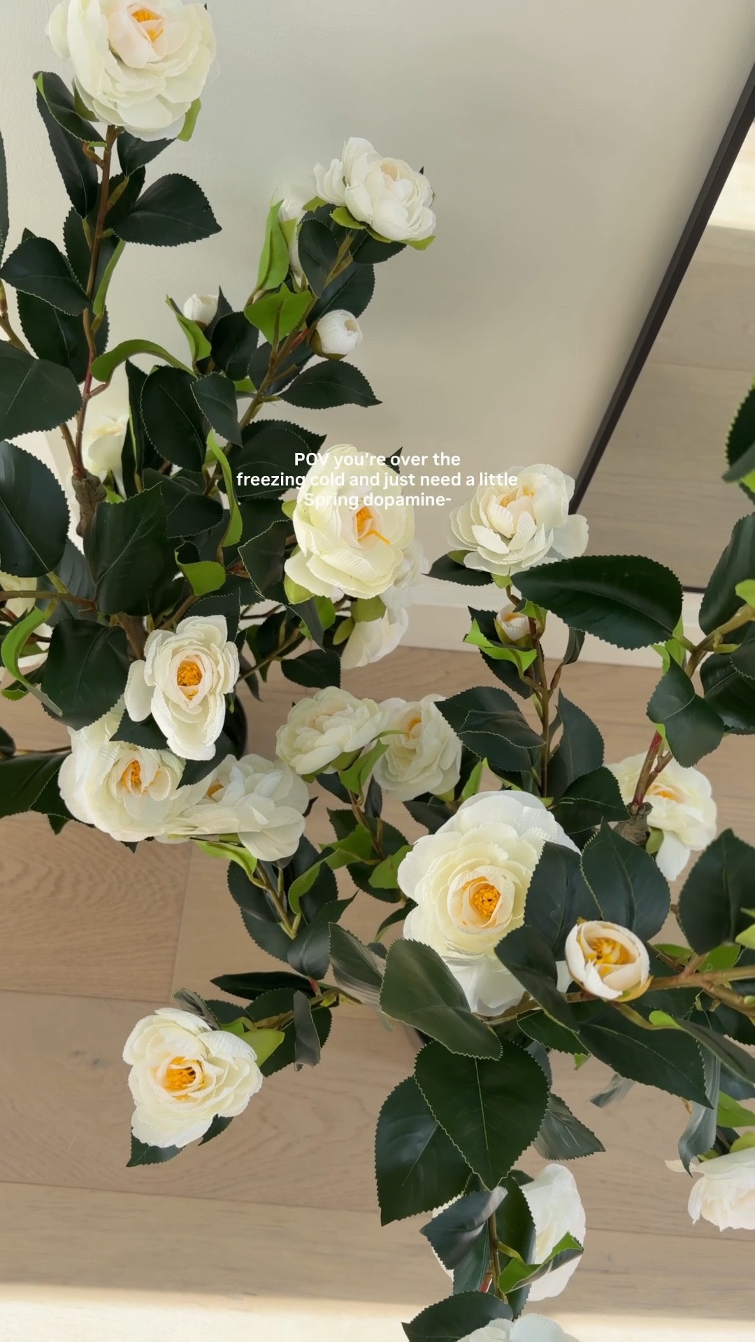 These faux trees are going to look so good on my front porch this spring! 

Amazon home find, faux outdoor plants 

#LTKHome #LTKSeasonal