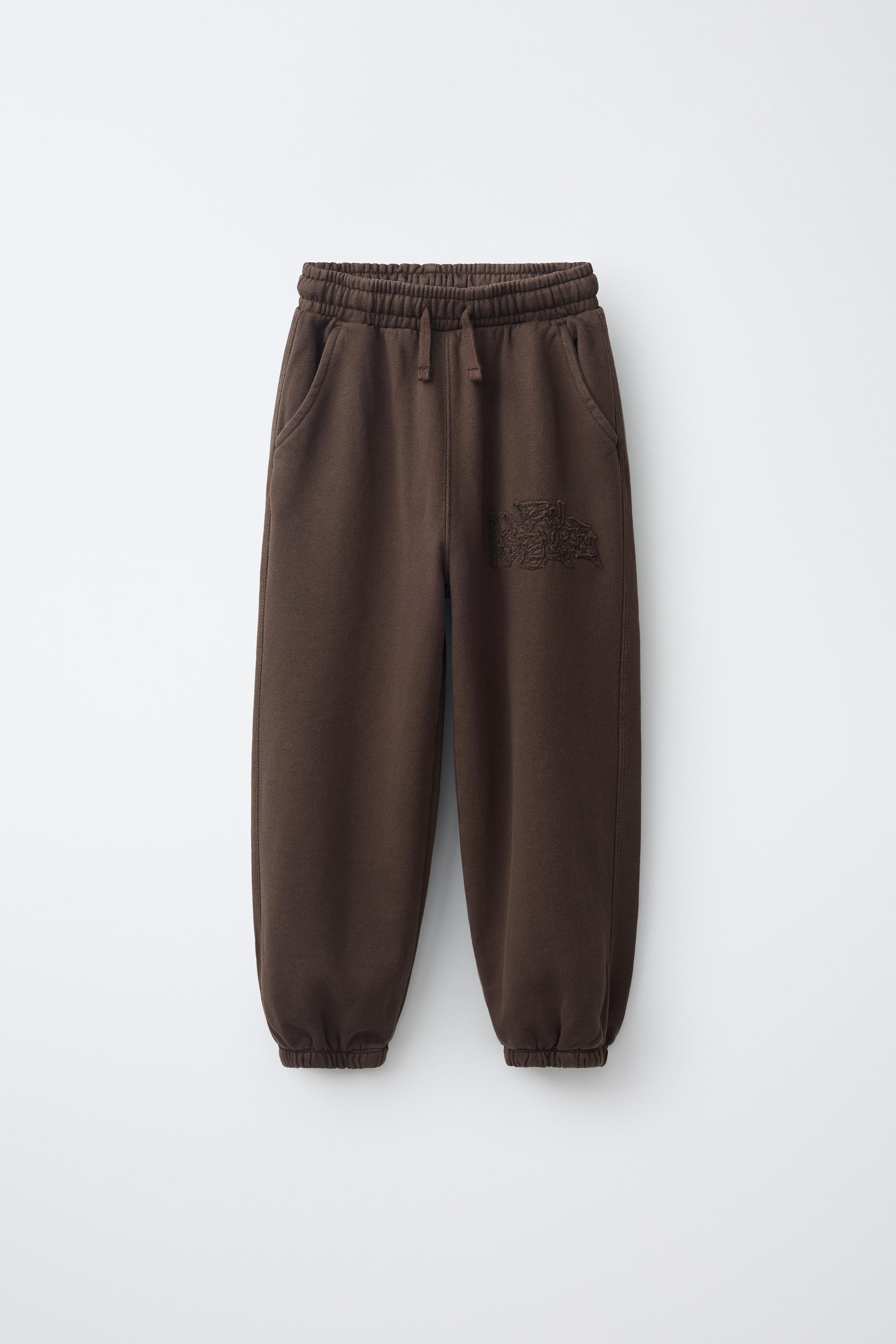 EMBROIDERED JOGGER PANTS | Zara US