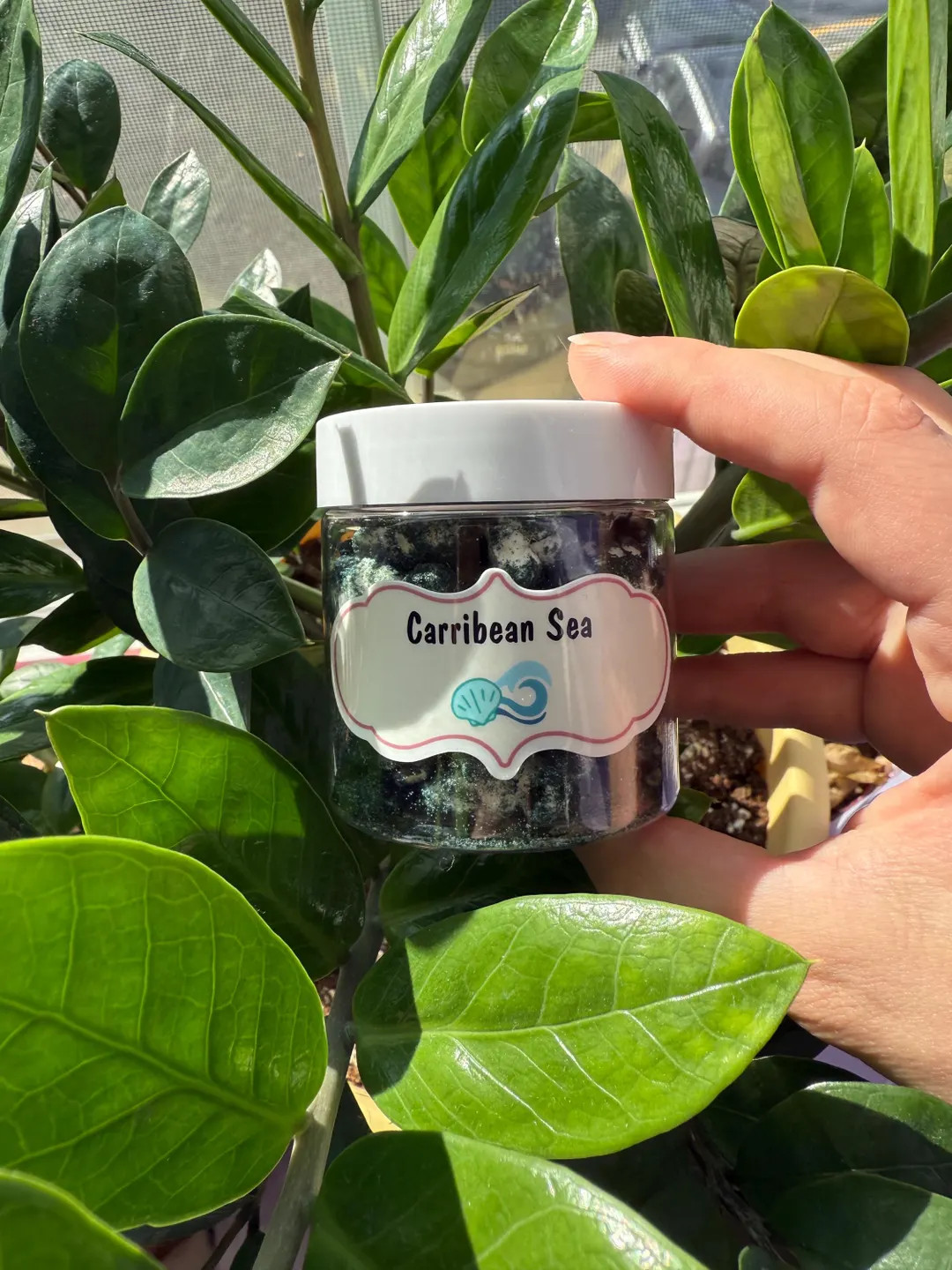 Carribean Sea- Hermit Crab Popcorn - Healthy Snacks - Hermit Crab Food | Etsy (US)