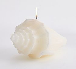 Conch Shell Candle | Pottery Barn (US)