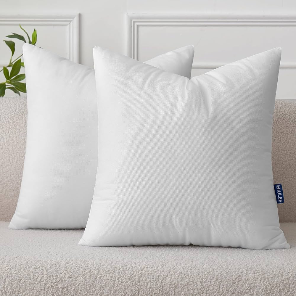 MIULEE Set of 2 Throw Pillow Inserts 24x24 Inches, Nowoven Decorative Pillow Inserts for Living R... | Amazon (US)