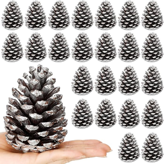 Janinka 24 Pcs Large Silver Christmas Glitter Pine Cones 4 Inch Pine Cone Ornaments Artificial Ch... | Amazon (US)
