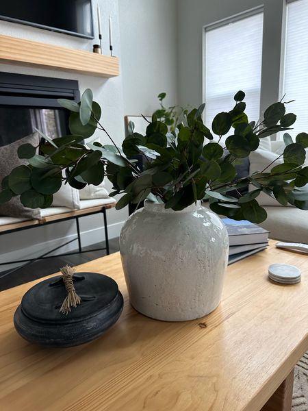 Take 25% off $100+ at Afloral! These eucalyptus stems are so realistic and on clearance!

#LTKhome #LTKSeasonal #LTKsalealert