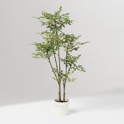 4.5' Tree | West Elm (US)
