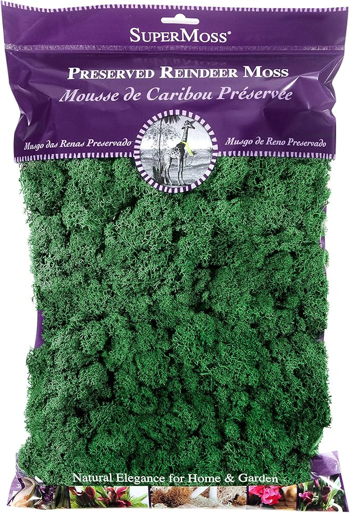SuperMoss (21757) Reindeer Moss Preserved, Forest, 8oz (200 cubic inch) | Amazon (US)