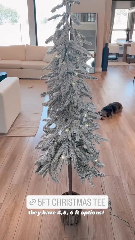 5ft flocked Christmas tree from target! Would be great in baby or kids room or just a little spot in your house that needs more holiday cheer ♥️ comes in 4ft, 5ft, & 6ft options 

#LTKSeasonal #LTKHoliday #LTKHolidaySale