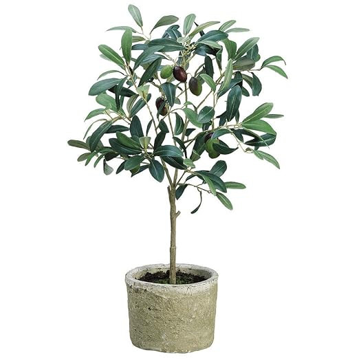 Green Plastic Potted Olive Tree - 12"W x 19 1/2"H | Amazon (US)