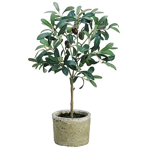 Green Plastic Potted Olive Tree - 12"W x 19 1/2"H | Amazon (US)