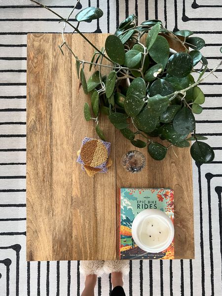 Coffee Table Vibes 🌱  + Ruggable that we LOVE! I bought this Hoya as a baby on Etsy over 4 years ago. I just love her. Wait until she blooms! 


#LTKGiftGuide #LTKFind #LTKhome